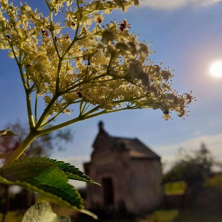 Bed and Breakfast La Galuche Angliers  Екстер'єр фото