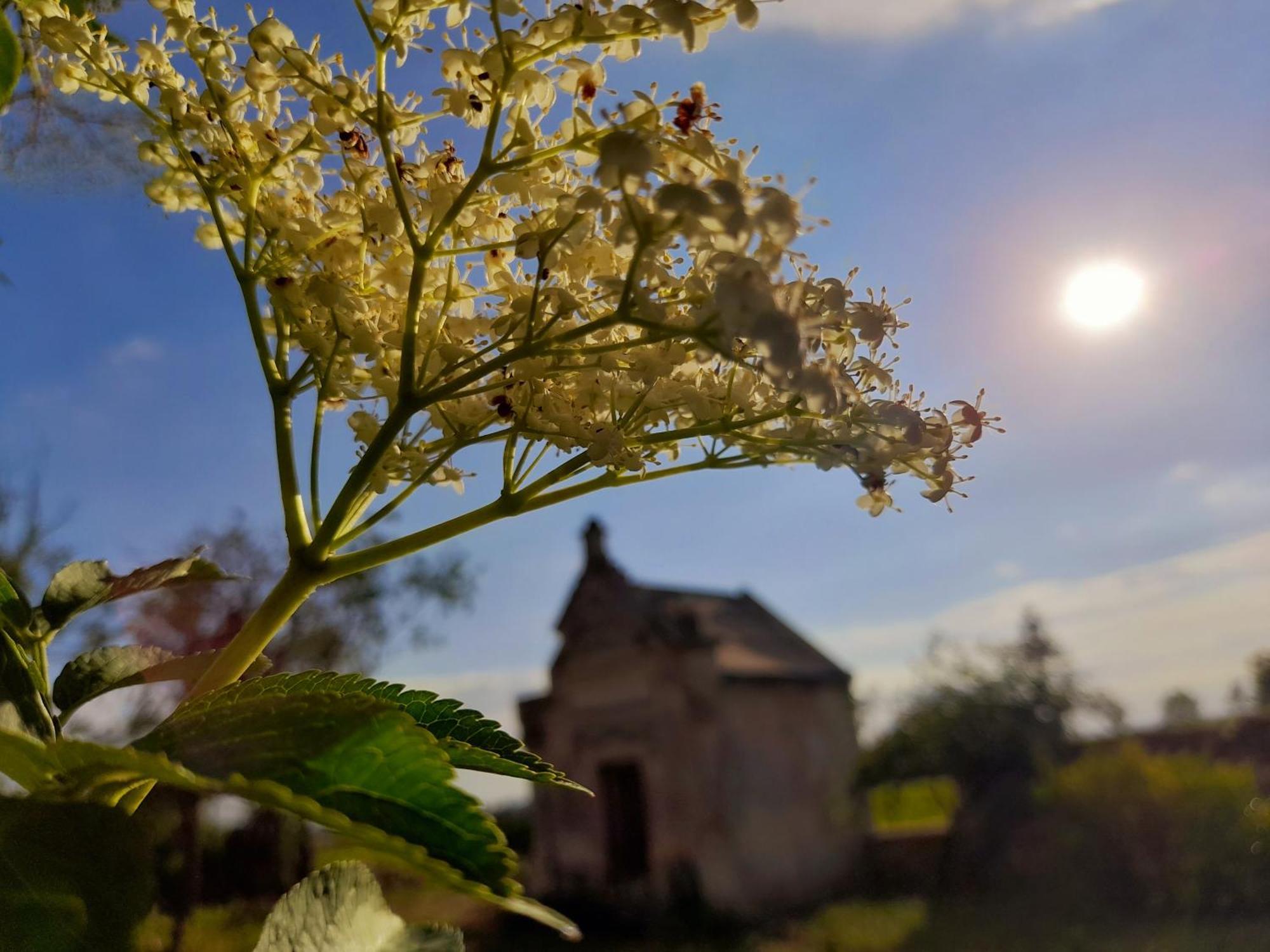 Bed and Breakfast La Galuche Angliers  Екстер'єр фото